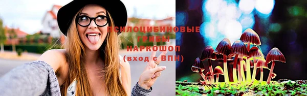 кокаин Белокуриха