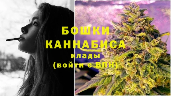 гидра Беломорск